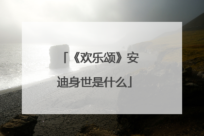 《欢乐颂》安迪身世是什么