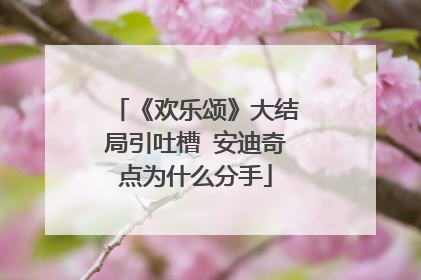 《欢乐颂》大结局引吐槽 安迪奇点为什么分手