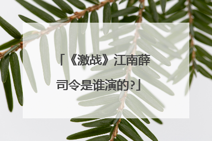 《激战》江南薛司令是谁演的?
