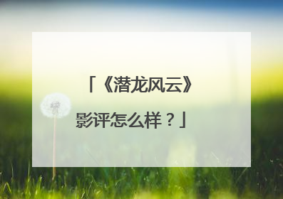 《潜龙风云》影评怎么样?