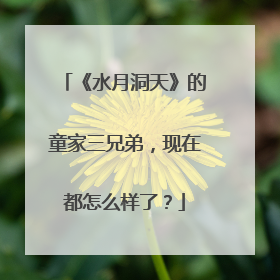 《水月洞天》的童家三兄弟，现在都怎么样了？