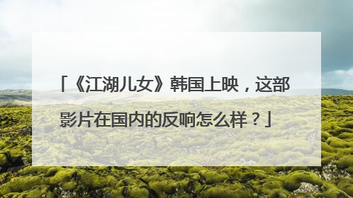 《江湖儿女》韩国上映，这部影片在国内的反响怎么样？