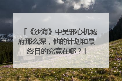 《沙海》中吴邪心机城府那么深，他的计划和最终目的究竟在哪？