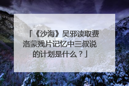 《沙海》吴邪读取费洛蒙残片记忆中三叔说的计划是什么？