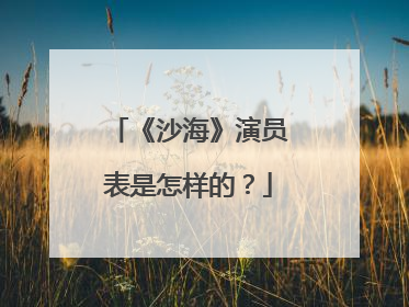 《沙海》演员表是怎样的？