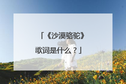 《沙漠骆驼》歌词是什么?