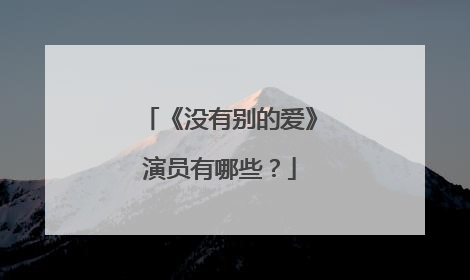 《没有别的爱》演员有哪些？