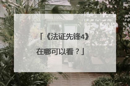 《法证先锋4》在哪可以看？