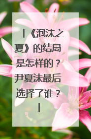 《泡沫之夏》的结局是怎样的?尹夏沫最后选择了谁?