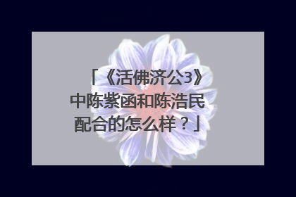 《活佛济公3》中陈紫函和陈浩民配合的怎么样?