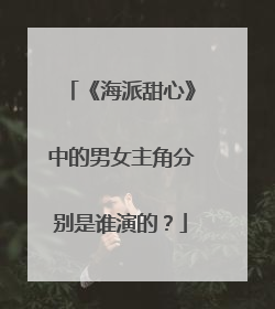 《海派甜心》中的男女主角分别是谁演的？