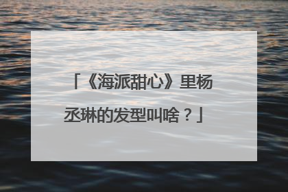 《海派甜心》里杨丞琳的发型叫啥？