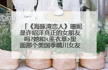 《海豚湾恋人》珊妮是许绍洋真正的女朋友吗?她和<薰衣草>里面那个美国季晴川女友是一个人吗?