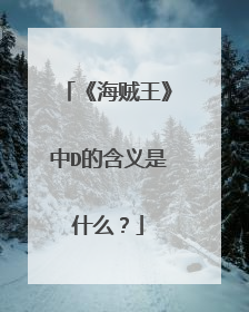 《海贼王》中D的含义是什么?
