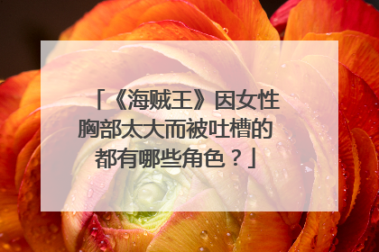 《海贼王》因女性胸部太大而被吐槽的都有哪些角色?