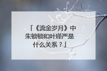 《流金岁月》中朱锁锁和叶瑾严是什么关系？