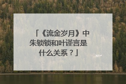 《流金岁月》中朱锁锁和叶谨言是什么关系?