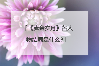 《流金岁月》各人物结局是什么?