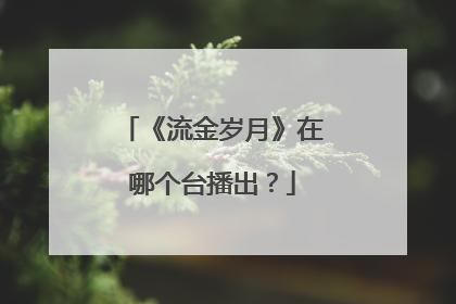 《流金岁月》在哪个台播出？