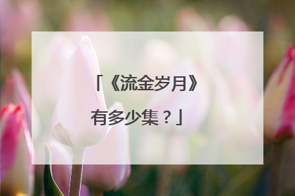 《流金岁月》有多少集？