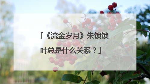 《流金岁月》朱锁锁叶总是什么关系？