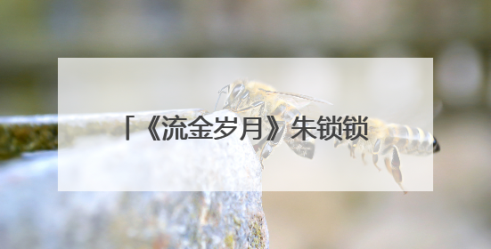 《流金岁月》朱锁锁叶总是什么关系?