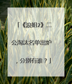 《浪姐2》二公淘汰名单出炉,分别有谁?