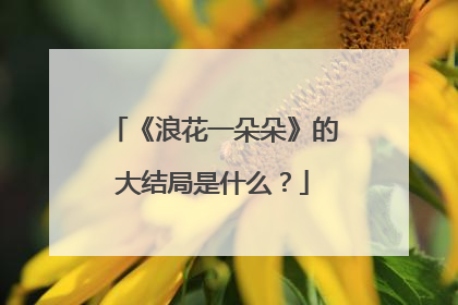 《浪花一朵朵》的大结局是什么?
