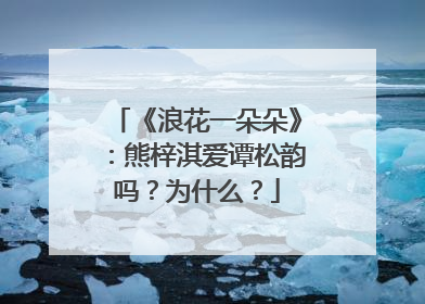 《浪花一朵朵》：熊梓淇爱谭松韵吗？为什么？
