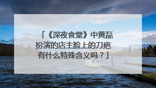 《深夜食堂》中黄磊扮演的店主脸上的刀疤有什么特殊含义吗?