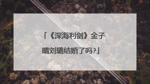 《深海利剑》金子晴刘璐结婚了吗?
