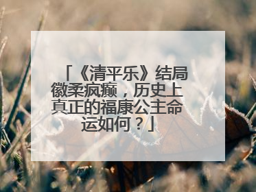 《清平乐》结局徽柔疯癫，历史上真正的福康公主命运如何？
