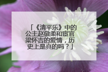 《清平乐》中的公主赵徽柔和宦官梁怀吉的爱情，历史上是真的吗？