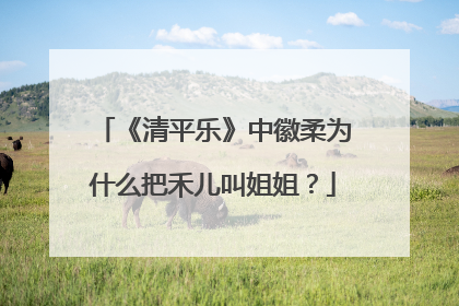 《清平乐》中徽柔为什么把禾儿叫姐姐?