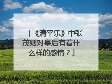 《清平乐》中张茂则对皇后有着什么样的感情？