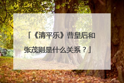 《清平乐》曹皇后和张茂则是什么关系?