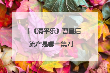 《清平乐》曹皇后流产是哪一集?