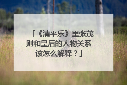 《清平乐》里张茂则和皇后的人物关系该怎么解释?