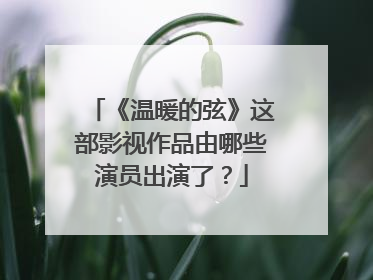 《温暖的弦》这部影视作品由哪些演员出演了？