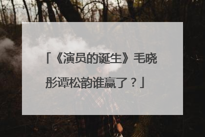 《演员的诞生》毛晓彤谭松韵谁赢了？