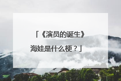 《演员的诞生》海娃是什么梗？