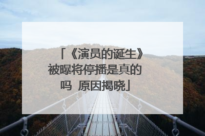 《演员的诞生》被曝将停播是真的吗 原因揭晓