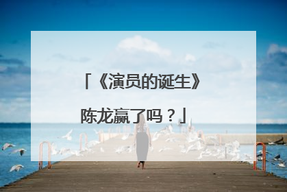 《演员的诞生》陈龙赢了吗？