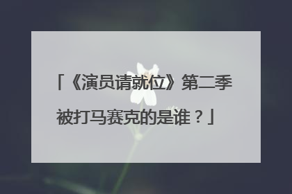 《演员请就位》第二季被打马赛克的是谁?