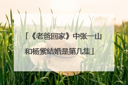 《老爸回家》中张一山和杨紫结婚是第几集