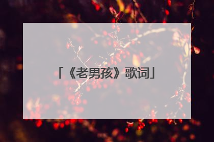 《老男孩》歌词