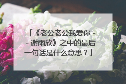 《老公老公我爱你--谢雨欣》之中的最后一句话是什么意思?