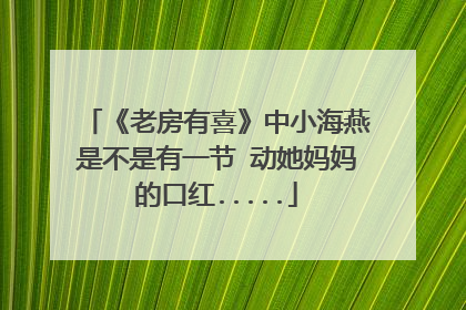 《老房有喜》中小海燕是不是有一节 动她妈妈的口红.....