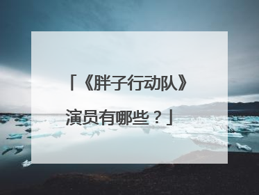 《胖子行动队》演员有哪些?