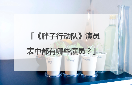 《胖子行动队》演员表中都有哪些演员?